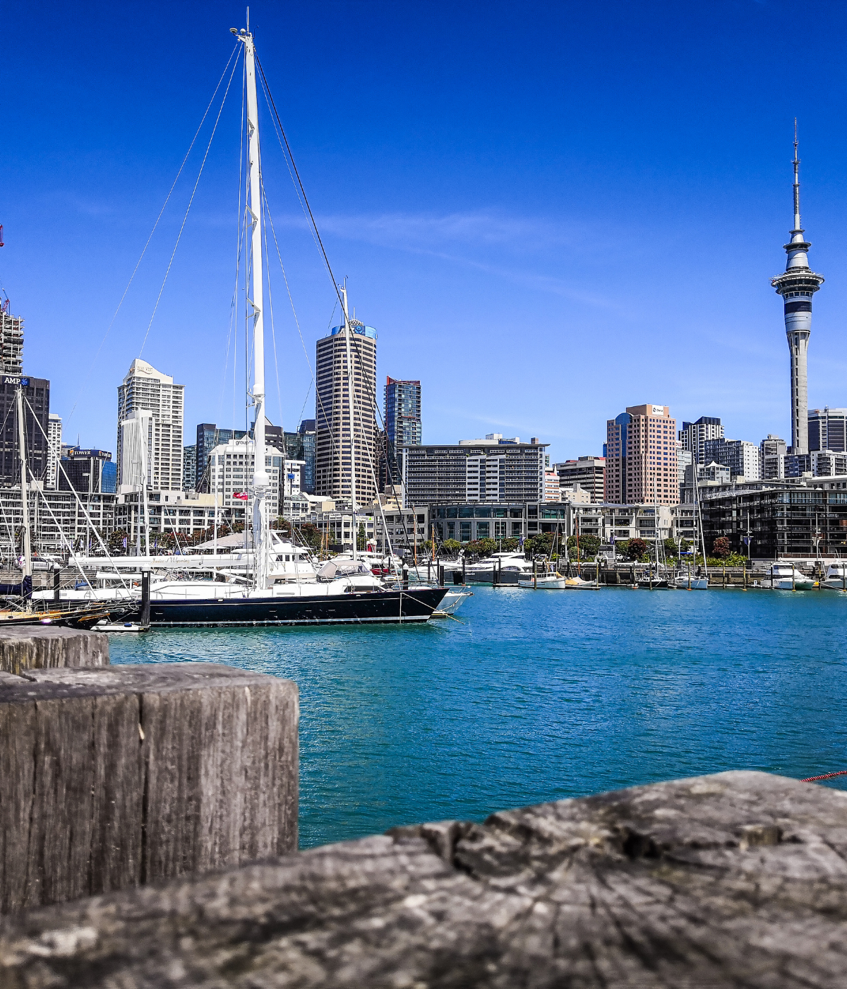 New Zealand Visa