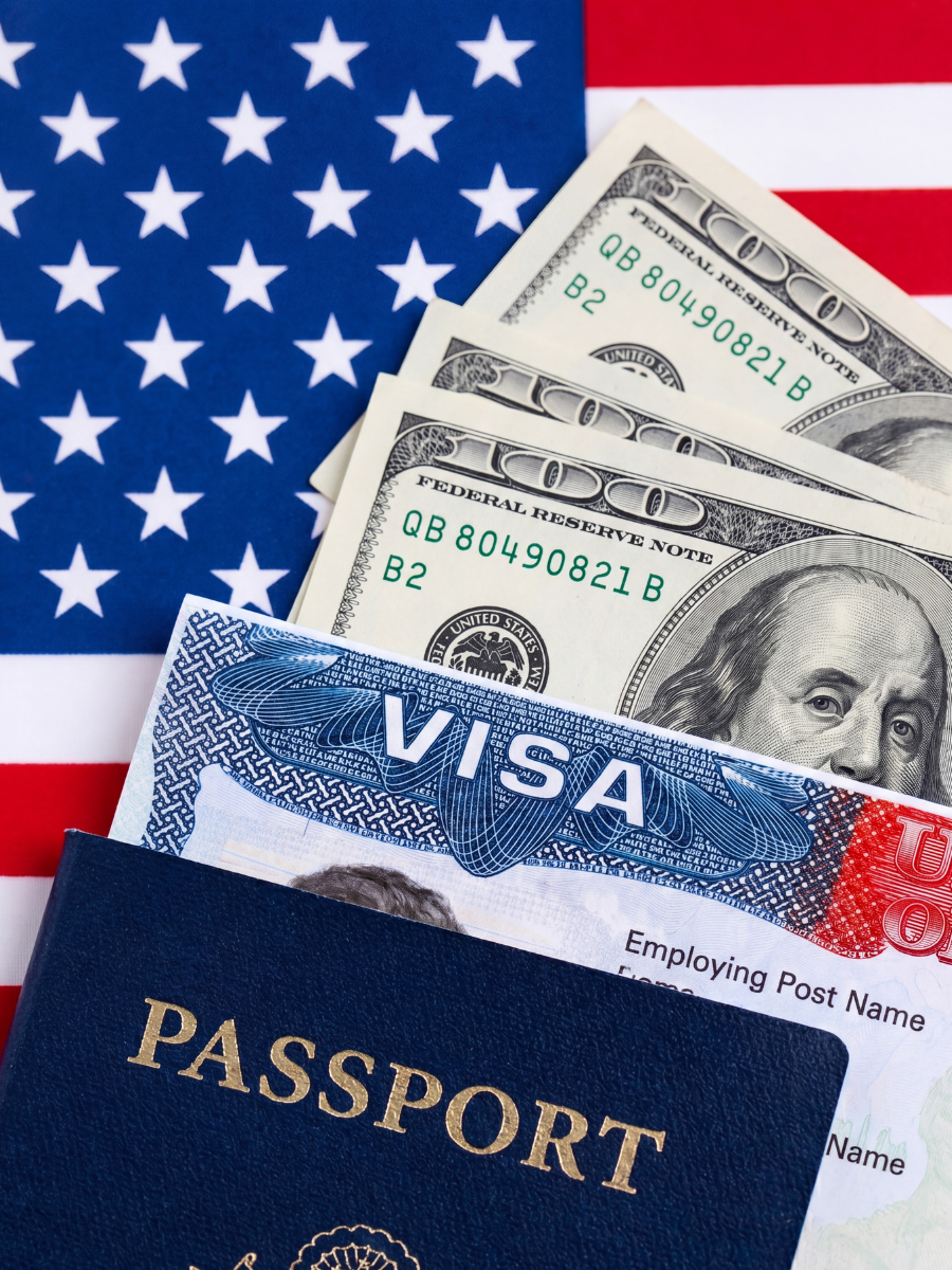 Visa